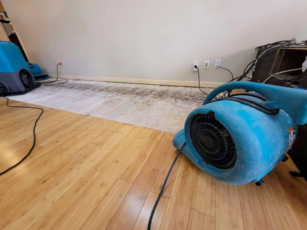 Professional Emergency Water Damage technician working in Rowe, MA